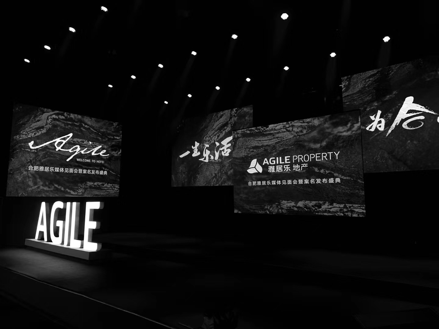 雅居乐地产 · 媒体见面会暨案名发布盛典案例图 3